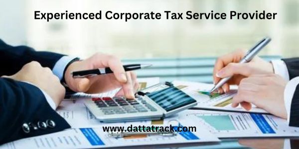 Experienced Corporate Tax Service Provider